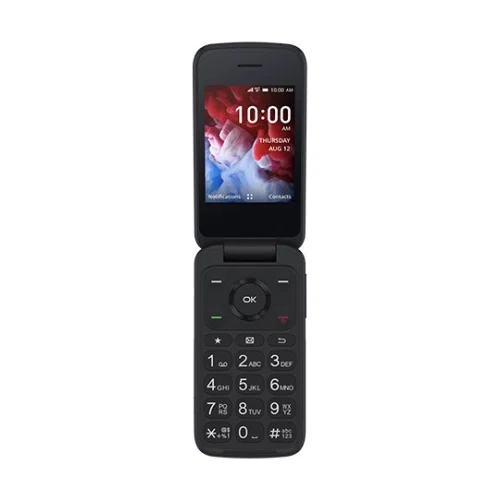 TCL Flip Pro